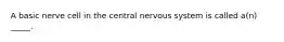 A basic nerve cell in the central nervous system is called a(n) _____.