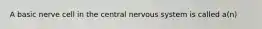 A basic nerve cell in the central nervous system is called a(n)