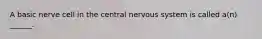 A basic nerve cell in the central nervous system is called a(n) ______.