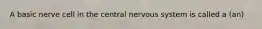 A basic nerve cell in the central nervous system is called a (an)