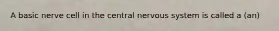 A basic nerve cell in the central nervous system is called a (an)