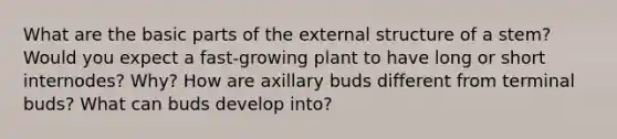 What are the basic parts of the external structure of a stem? Would you expect a fast-growing plant to have long or short internodes? Why? How are axillary buds different from terminal buds? What can buds develop into?