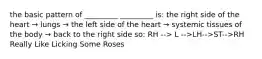 the basic pattern of _________ _________ is: the right side of the heart → lungs → the left side of the heart → systemic tissues of the body → back to the right side so: RH --> L -->LH-->ST-->RH Really Like Licking Some Roses