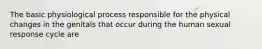 The basic physiological process responsible for the physical changes in the genitals that occur during the human sexual response cycle are