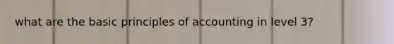 what are the basic principles of accounting in level 3?