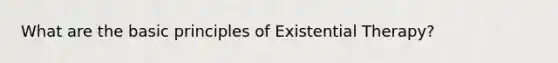 What are the basic principles of Existential Therapy?