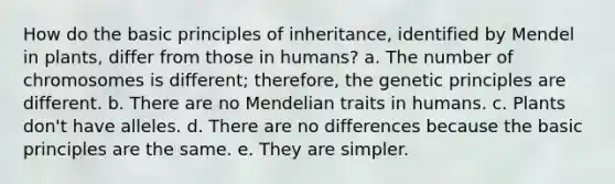 How do the basic principles of inheritance, identified by Mendel in plants, differ from those in humans? a. The number of chromosomes is different; therefore, the genetic principles are different. b. There are no Mendelian traits in humans. c. Plants don't have alleles. d. There are no differences because the basic principles are the same. e. They are simpler.