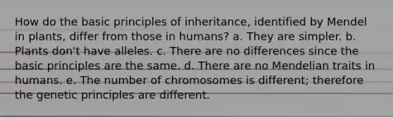 How do the basic principles of inheritance, identified by Mendel in plants, differ from those in humans? a. They are simpler. b. Plants don't have alleles. c. There are no differences since the basic principles are the same. d. There are no Mendelian traits in humans. e. The number of chromosomes is different; therefore the genetic principles are different.