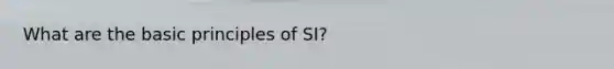 What are the basic principles of SI?