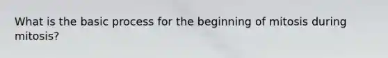 What is the basic process for the beginning of mitosis during mitosis?