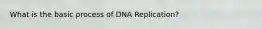 What is the basic process of DNA Replication?