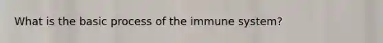 What is the basic process of the immune system?