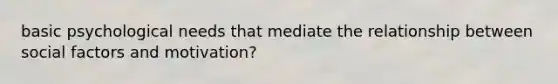 basic psychological needs that mediate the relationship between social factors and motivation?