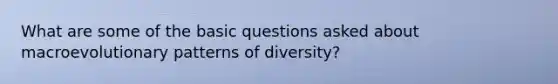 What are some of the basic questions asked about macroevolutionary patterns of diversity?