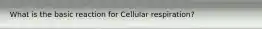 What is the basic reaction for Cellular respiration?