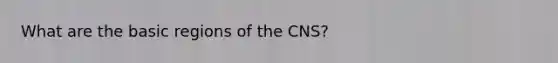 What are the basic regions of the CNS?