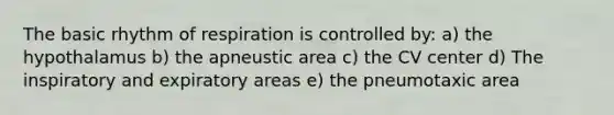 The basic rhythm of respiration is controlled by: a) the hypothalamus b) the apneustic area c) the CV center d) The inspiratory and expiratory areas e) the pneumotaxic area