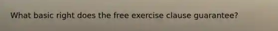 What basic right does the free exercise clause guarantee?