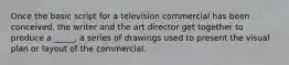 Once the basic script for a television commercial has been conceived, the writer and the art director get together to produce a _____, a series of drawings used to present the visual plan or layout of the commercial.