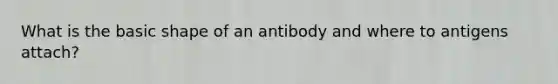 What is the basic shape of an antibody and where to antigens attach?