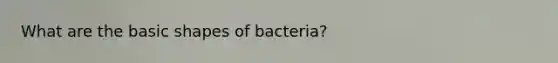 What are the basic shapes of bacteria?