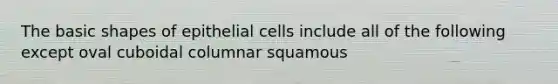 The basic shapes of epithelial cells include all of the following except oval cuboidal columnar squamous