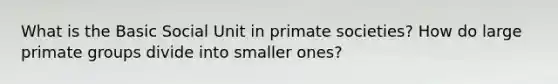 What is the Basic Social Unit in primate societies? How do large primate groups divide into smaller ones?