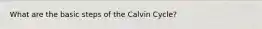 What are the basic steps of the Calvin Cycle?