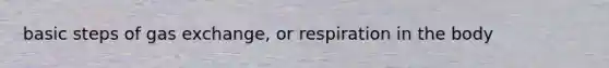 basic steps of gas exchange, or respiration in the body