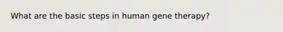 What are the basic steps in human gene therapy?