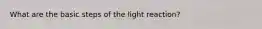 What are the basic steps of the light reaction?