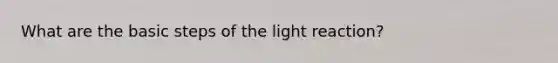 What are the basic steps of the light reaction?