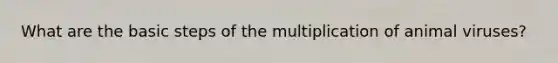 What are the basic steps of the multiplication of animal viruses?