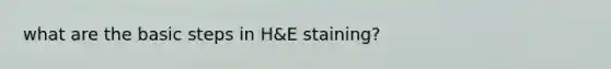 what are the basic steps in H&E staining?