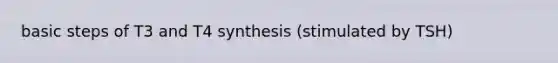 basic steps of T3 and T4 synthesis (stimulated by TSH)