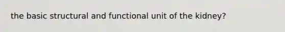 the basic structural and functional unit of the kidney?