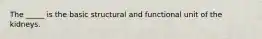 The _____ is the basic structural and functional unit of the kidneys.