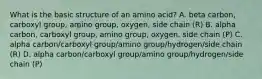 What is the basic structure of an amino acid? A. beta carbon, carboxyl group, amino group, oxygen, side chain (R) B. alpha carbon, carboxyl group, amino group, oxygen, side chain (P) C. alpha carbon/carboxyl group/amino group/hydrogen/side chain (R) D. alpha carbon/carboxyl group/amino group/hydrogen/side chain (P)