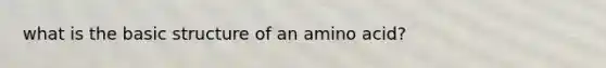 what is the basic structure of an amino acid?