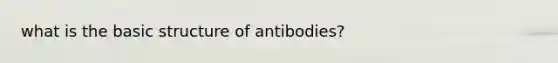 what is the basic structure of antibodies?