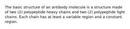 The basic structure of an antibody molecule is a structure made of two (2) polypeptide heavy chains and two (2) polypeptide light chains. Each chain has at least a variable region and a constant region.