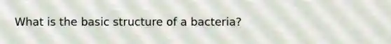 What is the basic structure of a bacteria?