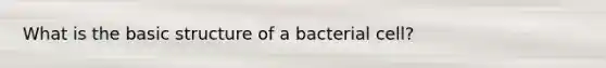 What is the basic structure of a bacterial cell?