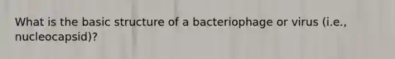 What is the basic structure of a bacteriophage or virus (i.e., nucleocapsid)?