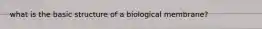 what is the basic structure of a biological membrane?