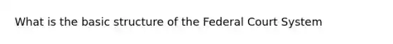 What is the basic structure of <a href='https://www.questionai.com/knowledge/kpreRDKlD3-the-federal-court-system' class='anchor-knowledge'>the federal court system</a>