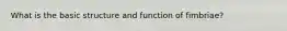 What is the basic structure and function of fimbriae?