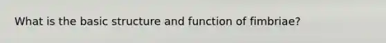 What is the basic structure and function of fimbriae?