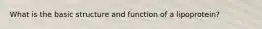 What is the basic structure and function of a lipoprotein?