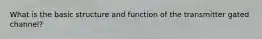 What is the basic structure and function of the transmitter gated channel?